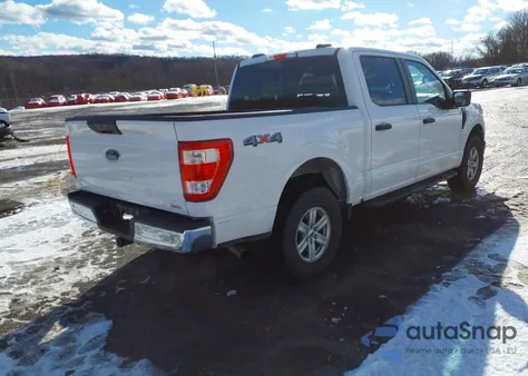 2023 Ford F-150 Xl z USA, uszkodzony, nr VIN 1FTEW1EP7PFA71526